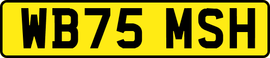 WB75MSH