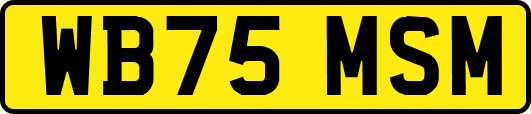 WB75MSM