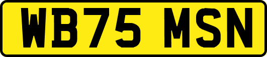 WB75MSN
