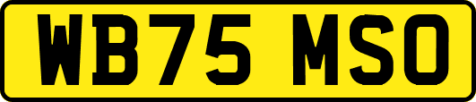 WB75MSO
