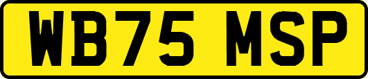 WB75MSP