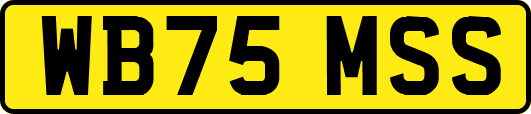 WB75MSS