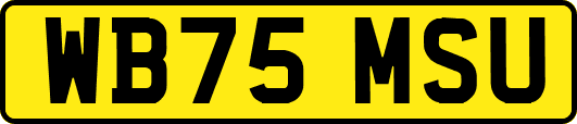 WB75MSU