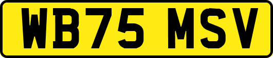 WB75MSV