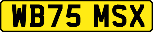 WB75MSX