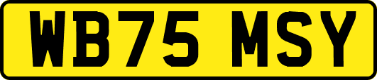 WB75MSY