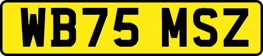 WB75MSZ