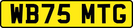 WB75MTG