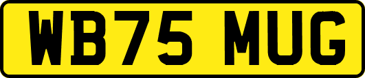 WB75MUG