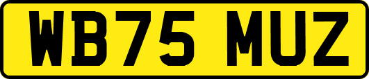 WB75MUZ