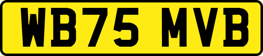 WB75MVB