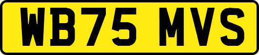 WB75MVS