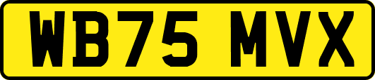 WB75MVX