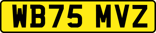 WB75MVZ