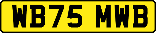 WB75MWB