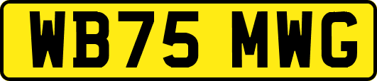 WB75MWG