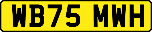 WB75MWH