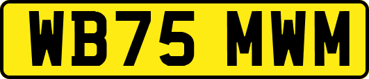 WB75MWM