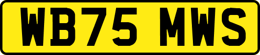 WB75MWS