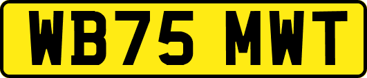 WB75MWT