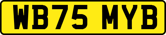 WB75MYB