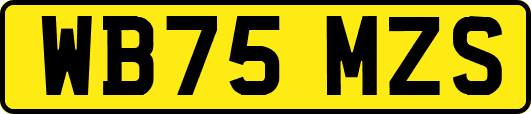 WB75MZS