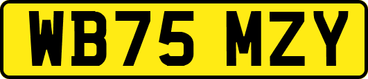 WB75MZY