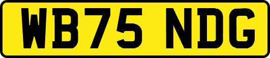WB75NDG