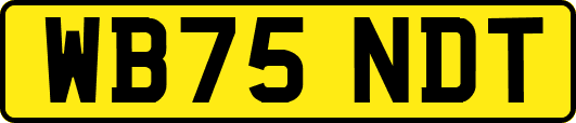 WB75NDT