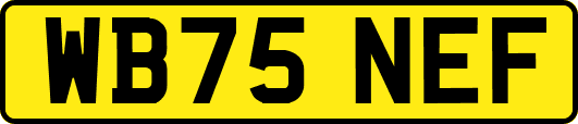 WB75NEF