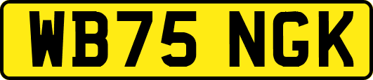 WB75NGK
