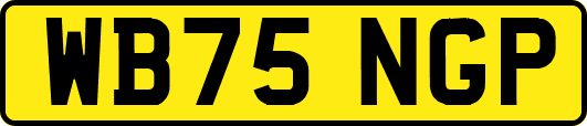 WB75NGP