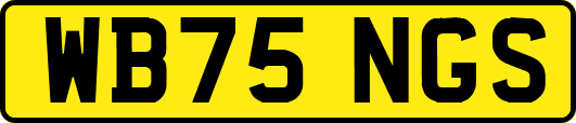 WB75NGS