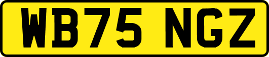WB75NGZ