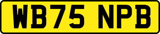 WB75NPB