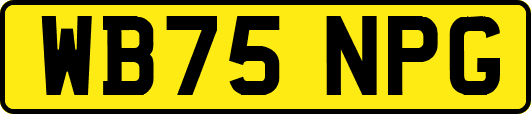 WB75NPG