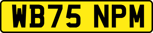 WB75NPM