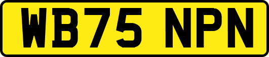 WB75NPN
