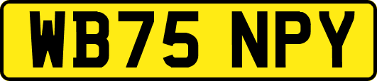 WB75NPY