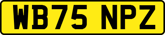 WB75NPZ