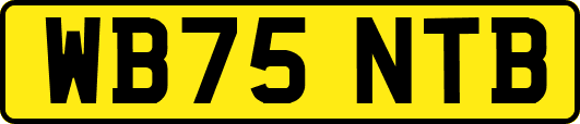 WB75NTB