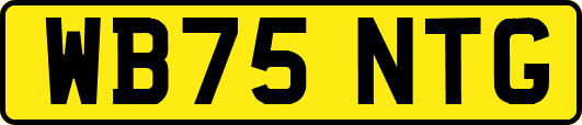 WB75NTG