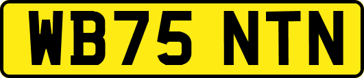 WB75NTN
