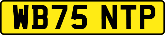 WB75NTP