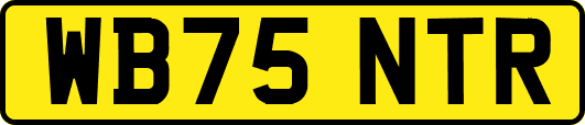 WB75NTR