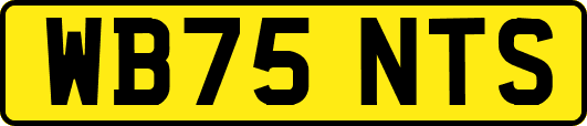 WB75NTS