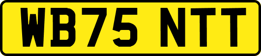 WB75NTT