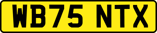 WB75NTX