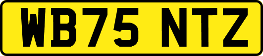 WB75NTZ