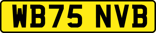 WB75NVB